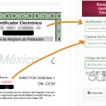 como saber si acta nacimieto es original o apocrifa